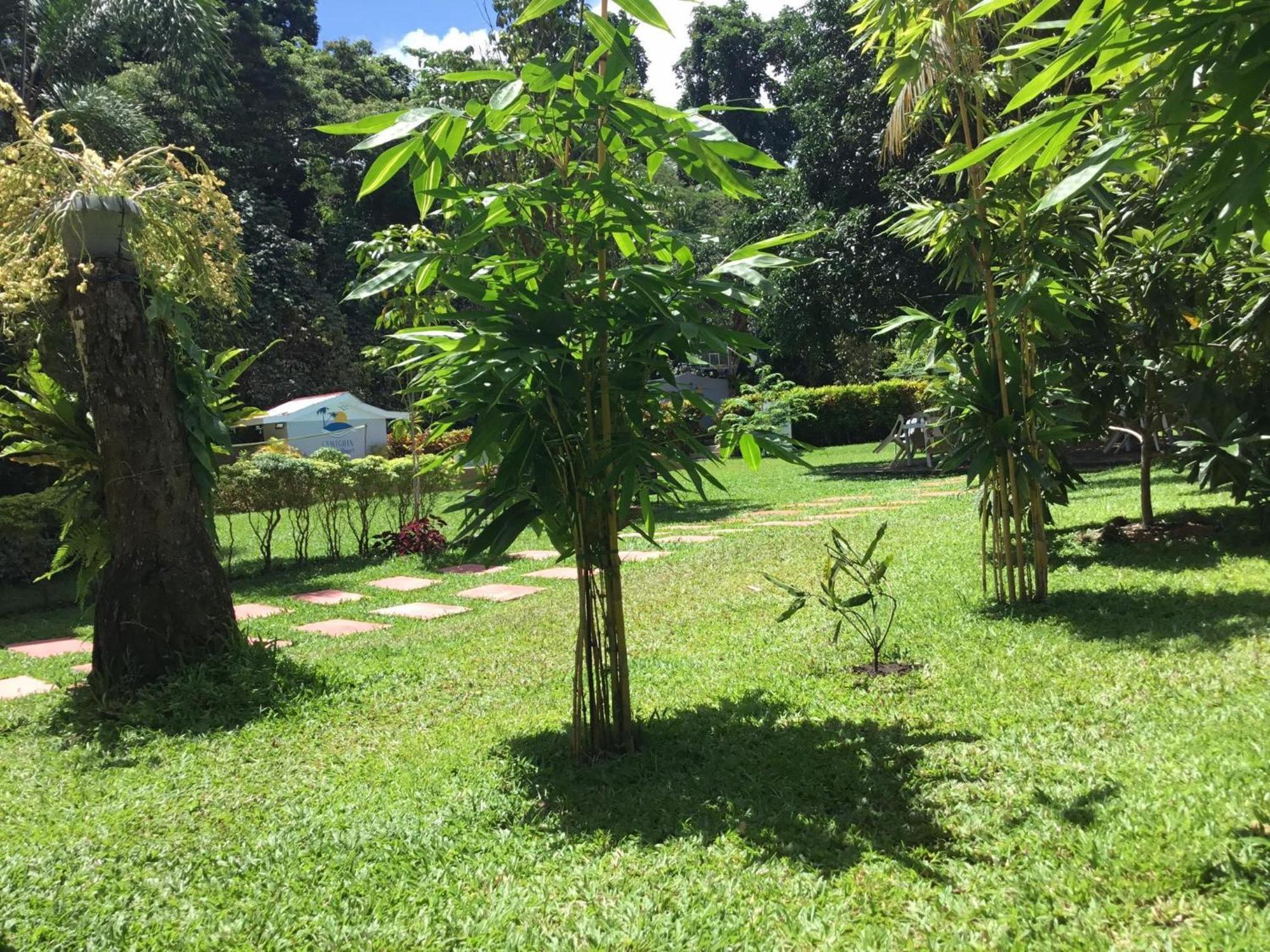 Camiguin Lanzones Resort Mambajao Kültér fotó