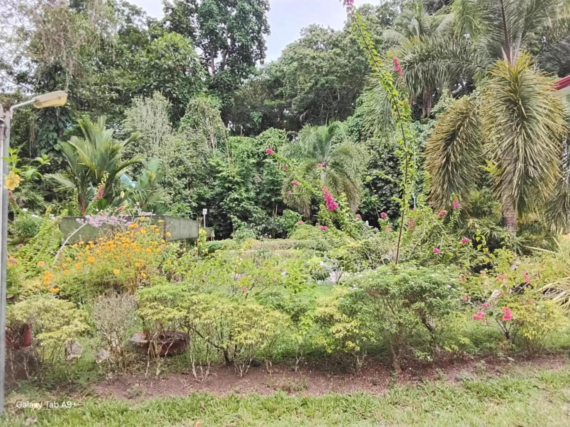 Camiguin Lanzones Resort Mambajao Kültér fotó