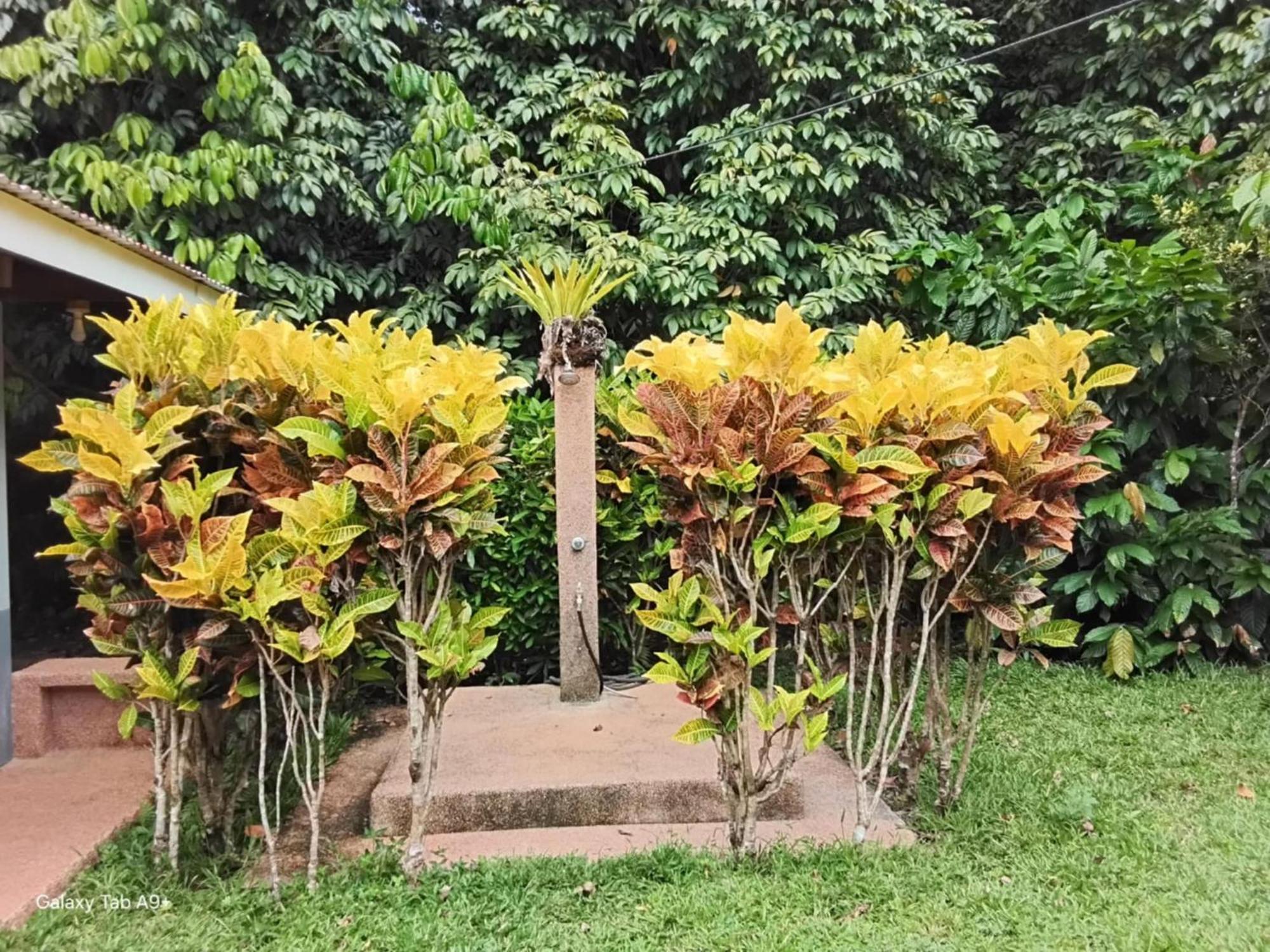 Camiguin Lanzones Resort Mambajao Kültér fotó