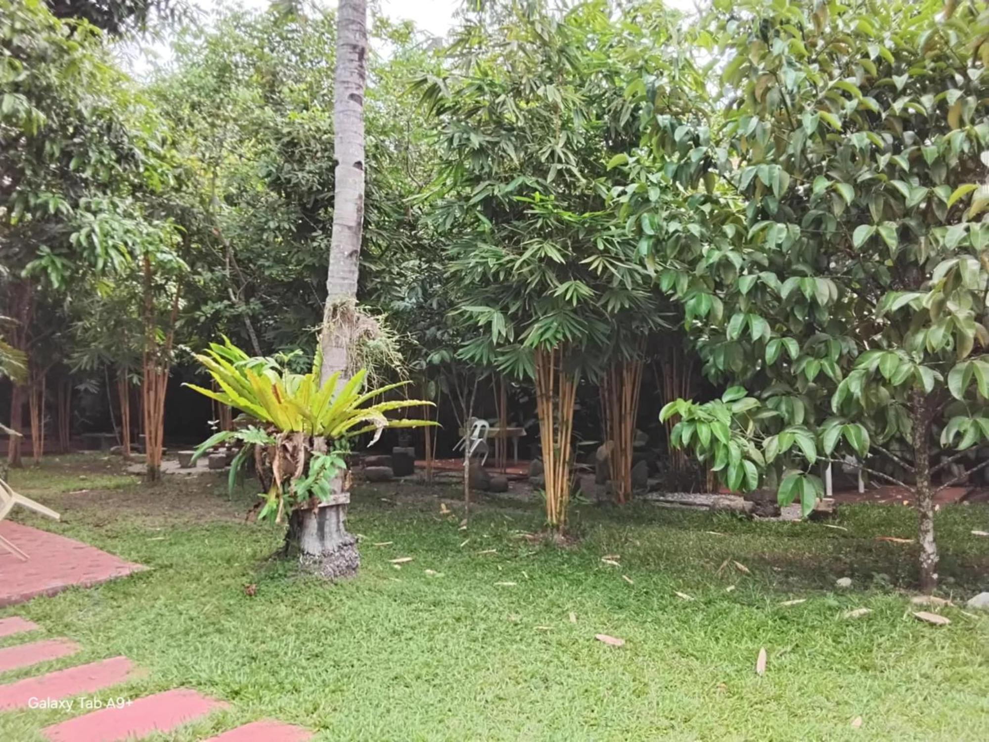 Camiguin Lanzones Resort Mambajao Kültér fotó
