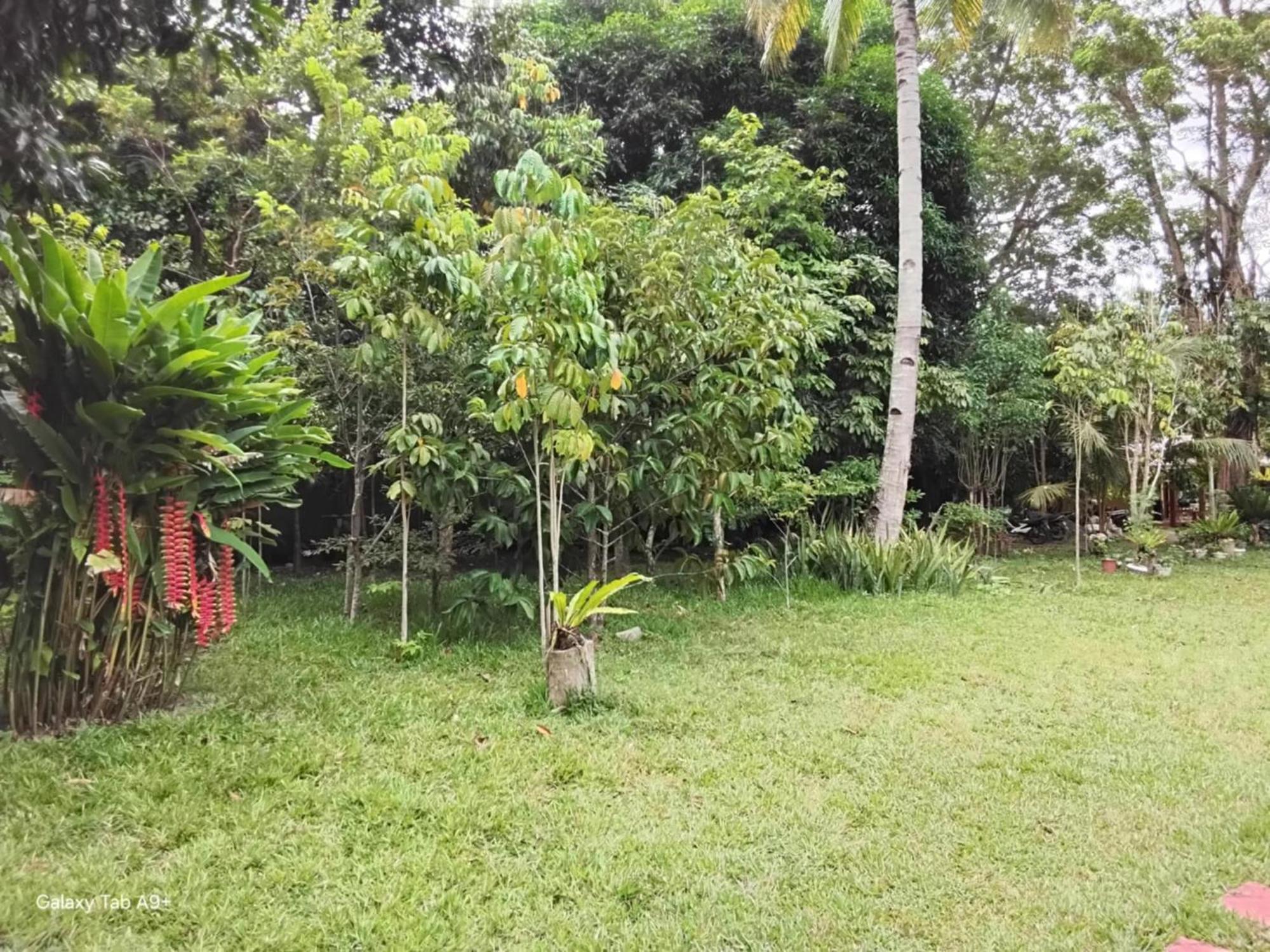 Camiguin Lanzones Resort Mambajao Kültér fotó