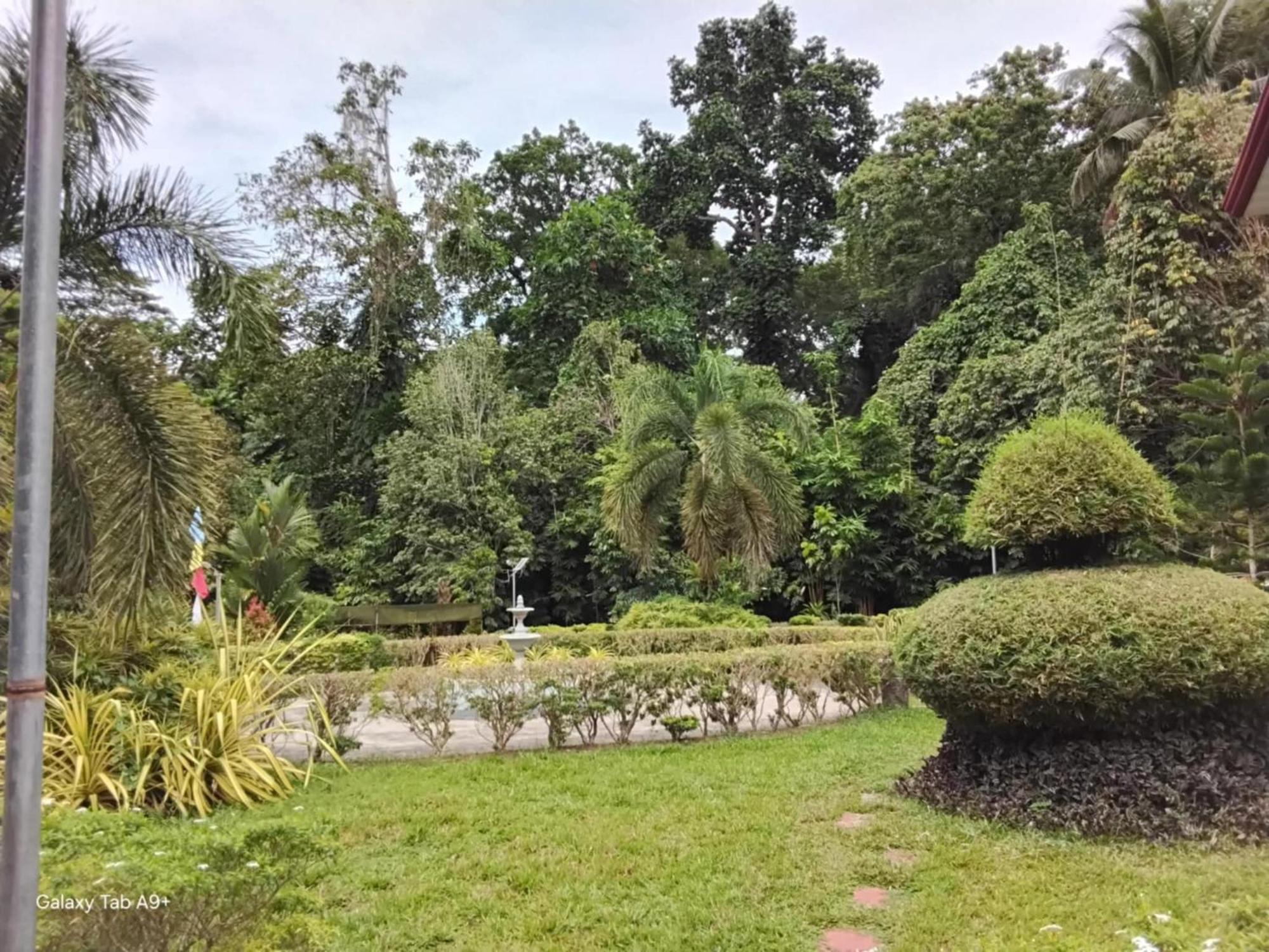 Camiguin Lanzones Resort Mambajao Kültér fotó